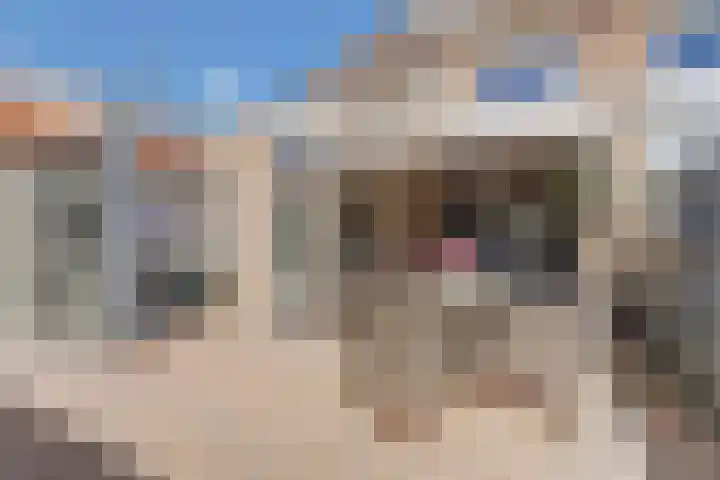 te Brittenstraat 3 Katwijk thumbnail 7