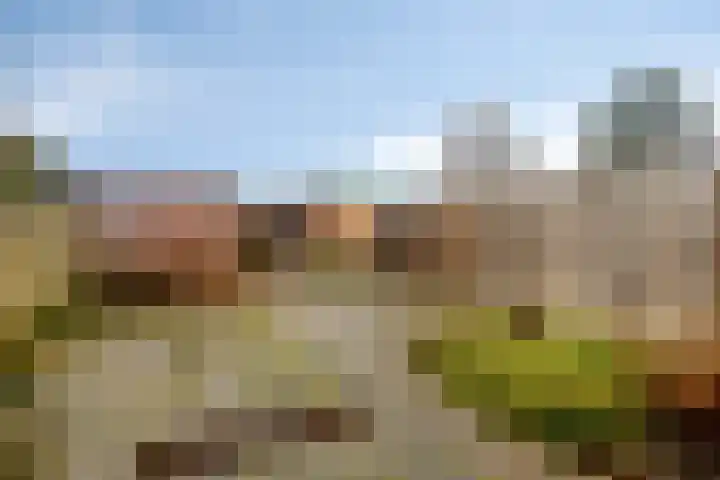 Te Waterstraat 10 Axel thumbnail 16