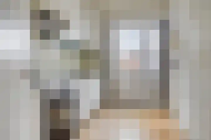 Te Waterstraat 10 Axel thumbnail 5