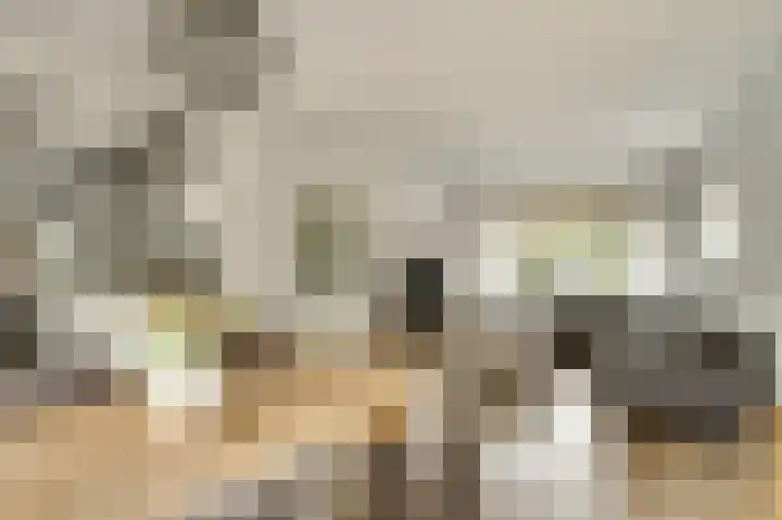 Te Werve 2 Almelo thumbnail 10