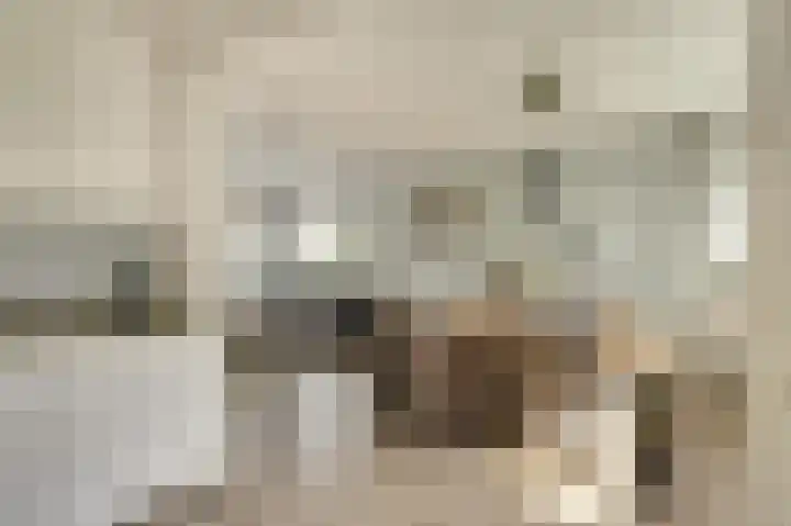 Te Werve 2 Almelo thumbnail 11