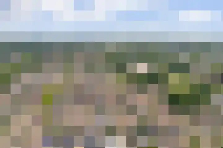 Te Werve 2 Almelo thumbnail 41
