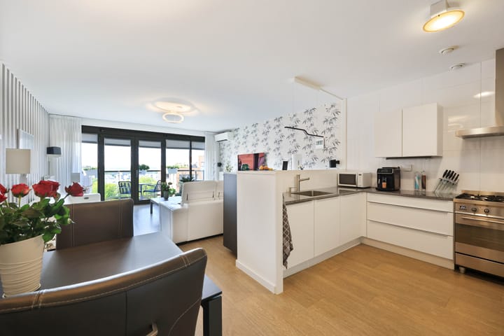 Teakhout 131 in Zaandam