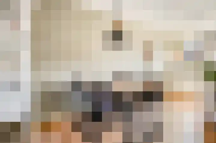 Tedinkweide 55 Borculo thumbnail 11