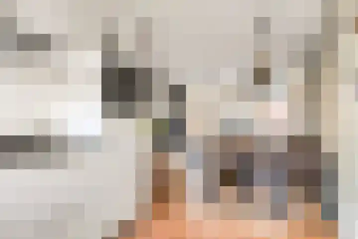 Tedinkweide 55 Borculo thumbnail 12