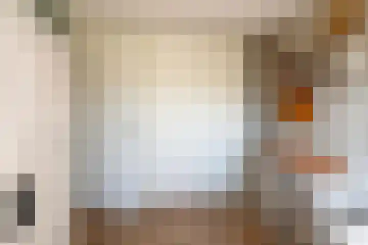Tedinkweide 55 Borculo thumbnail 23