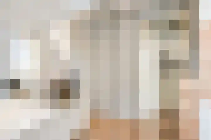 Tedinkweide 55 Borculo thumbnail 33