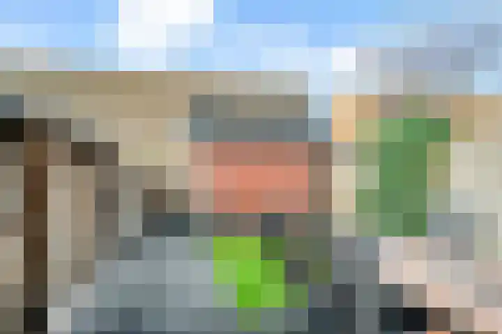 Tedinkweide 55 Borculo thumbnail 36