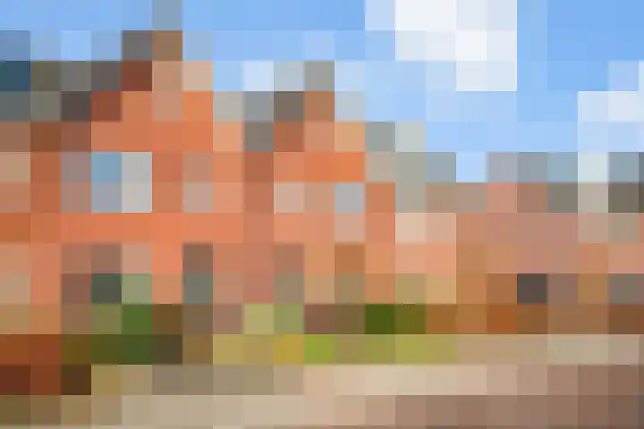 Tedinkweide 55 Borculo thumbnail 40
