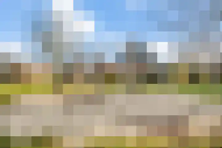 Tedinkweide 55 Borculo thumbnail 44