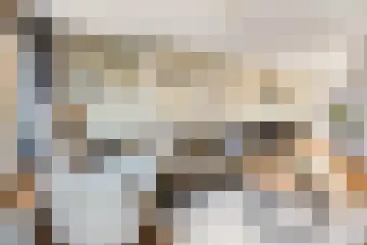Tedinkweide 55 Borculo thumbnail 5