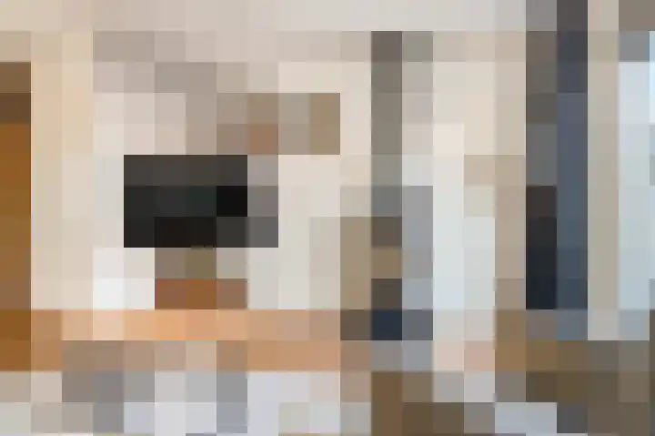 Tedinkweide 55 Borculo thumbnail 8