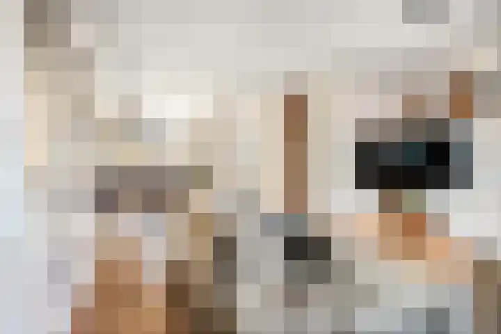 Tedinkweide 55 Borculo thumbnail 9