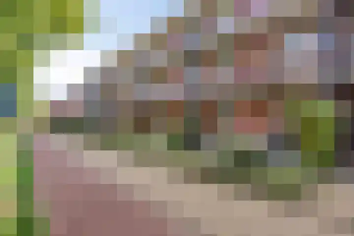 Teenschiller 2 Lopik