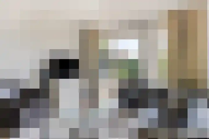 Teenschiller 2 Lopik thumbnail 12