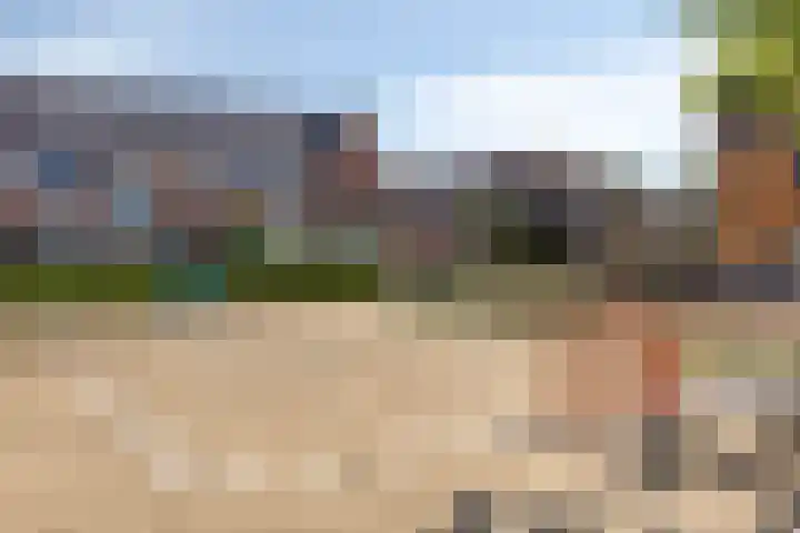 Teenschiller 2 Lopik thumbnail 20