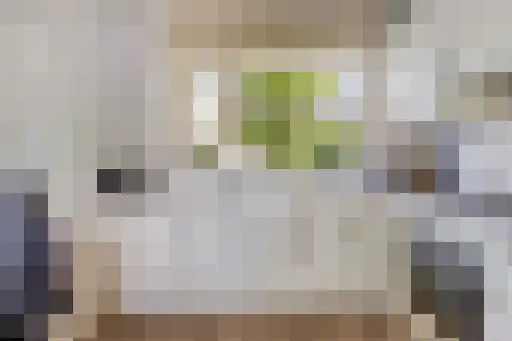 Teenschiller 2 Lopik foto 3