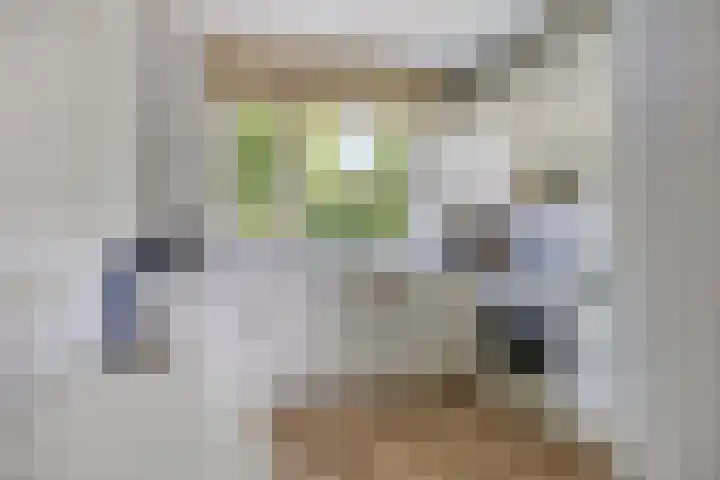 Teenschiller 2 Lopik thumbnail 7