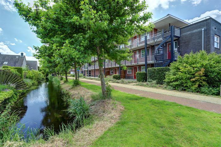 Teenschiller 5 in Lopik foto