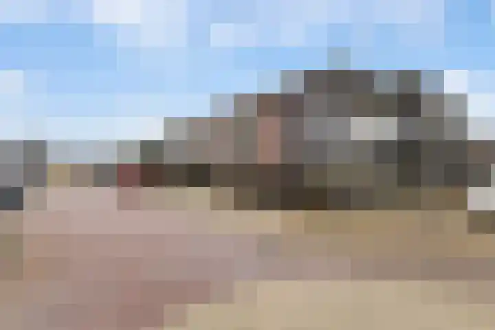 Teenschiller 8 Lopik