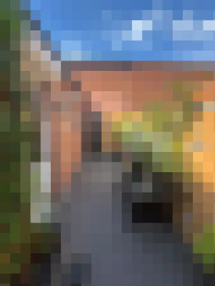 Teerlingstraat 13 Clinge thumbnail 7