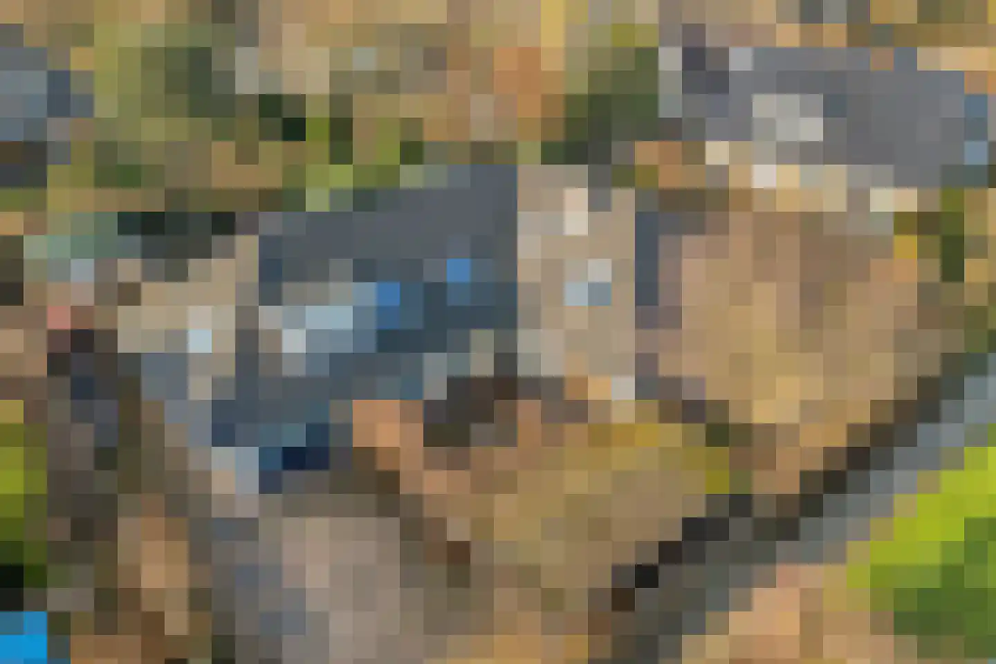 Teeuwserf 42 Dalfsen