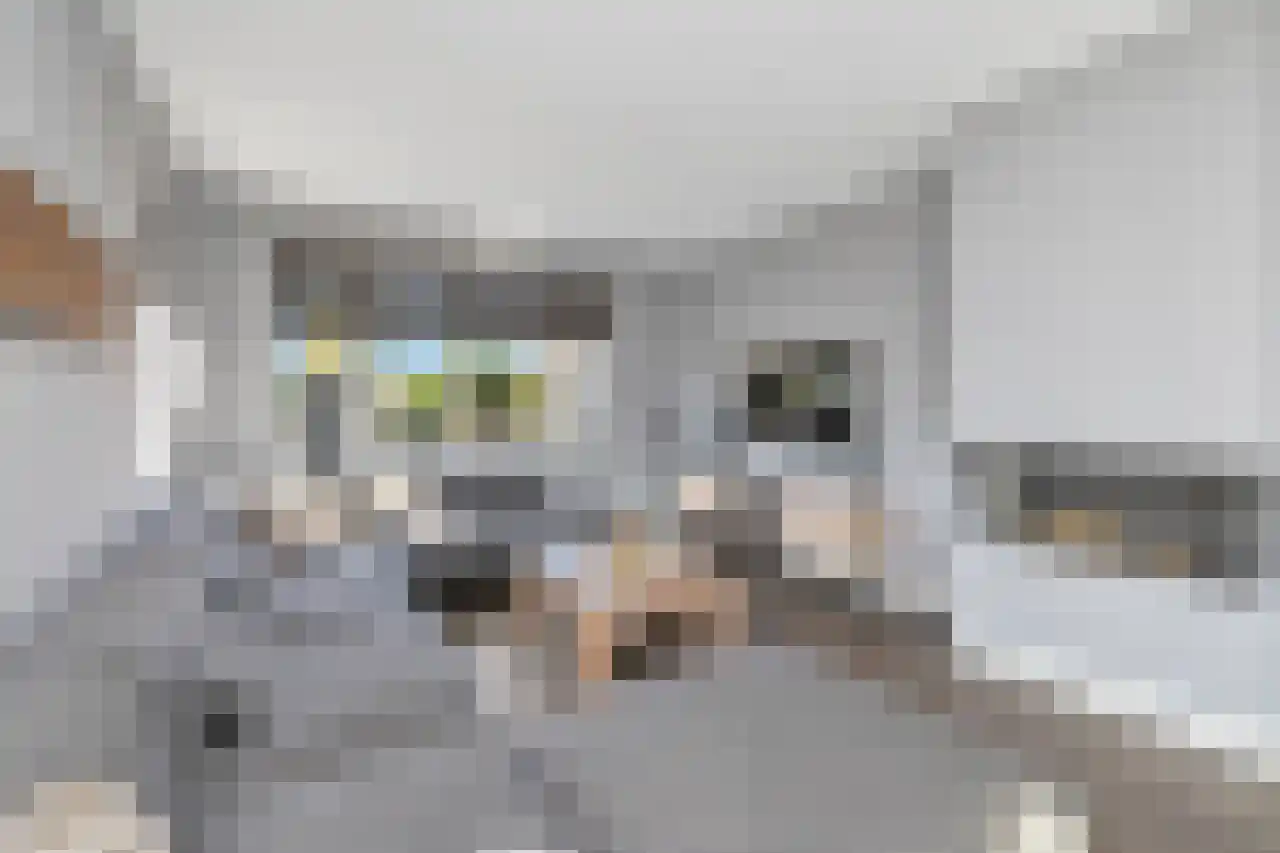 Tegelerweg 2 Enschede thumbnail 10