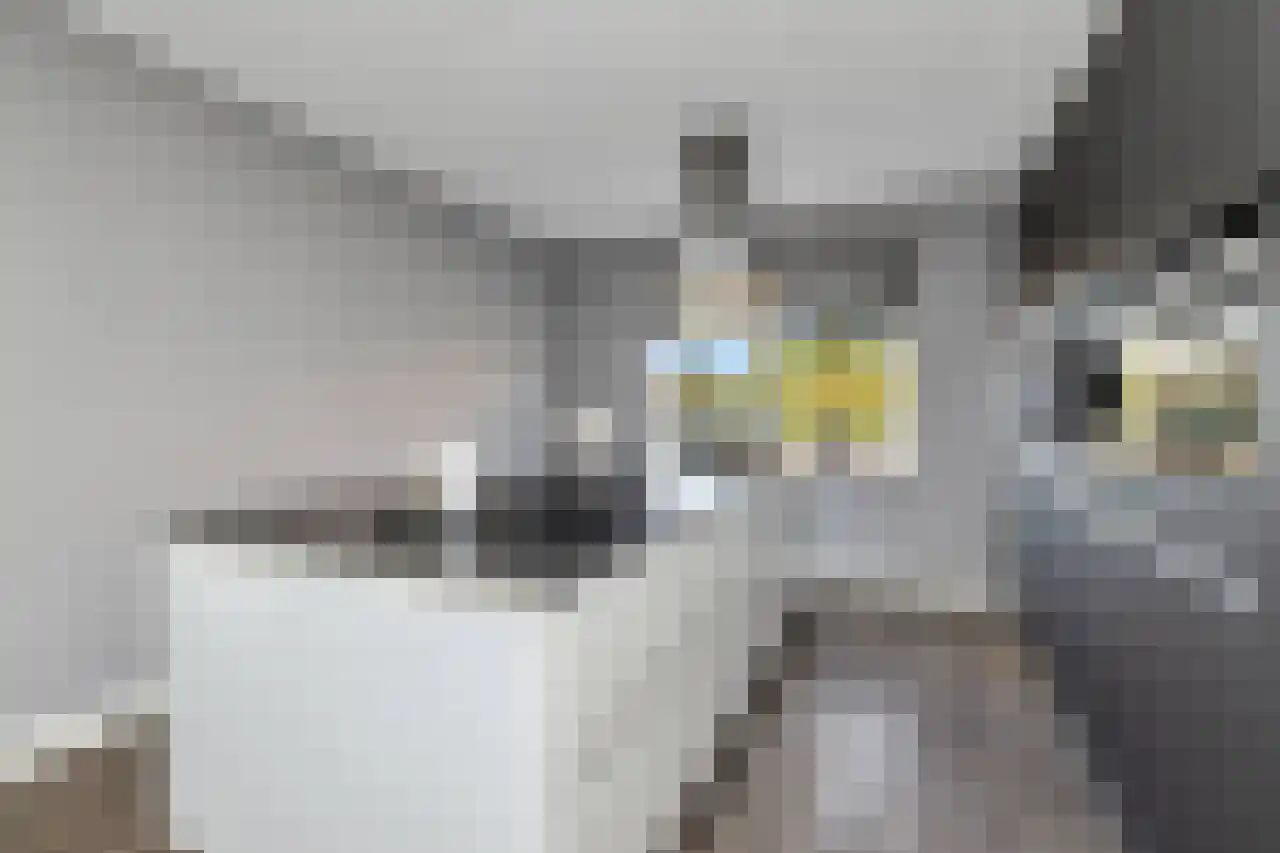 Tegelerweg 2 Enschede thumbnail 18
