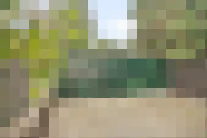 Tegelseweg 229 Venlo thumbnail 23