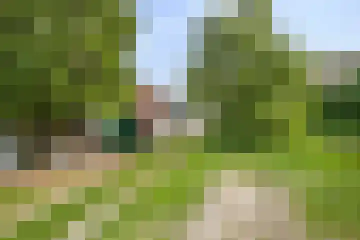 Tegelseweg 229 Venlo thumbnail 26