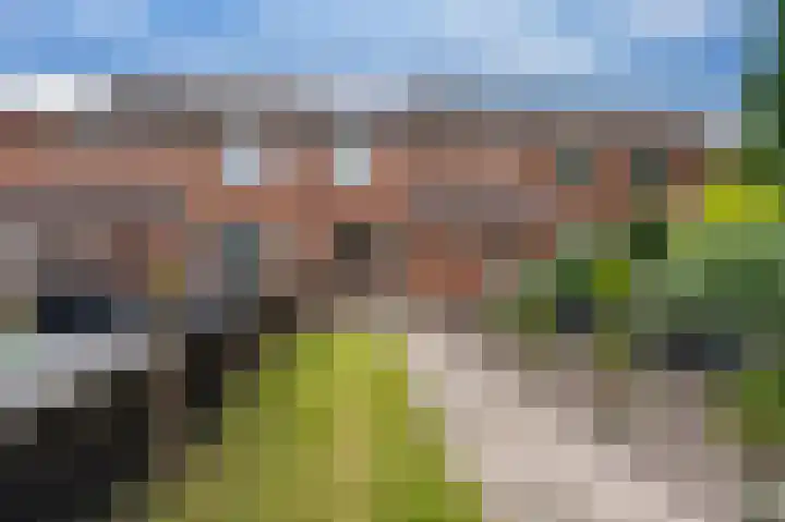 Tegenhouder 6 Sappemeer