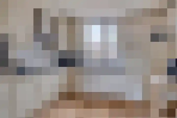 Tegenhouder 7 Sappemeer thumbnail 10