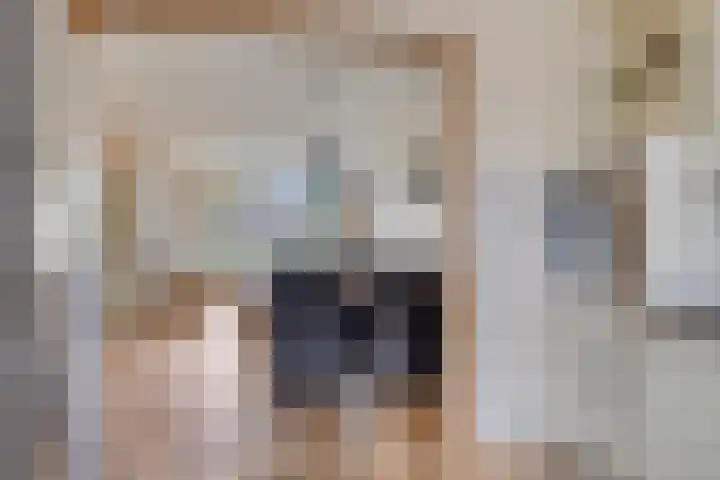 Tegenhouder 7 Sappemeer thumbnail 11