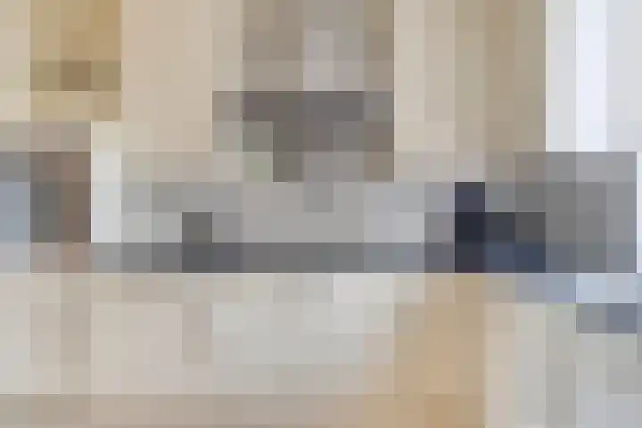 Tegenhouder 7 Sappemeer thumbnail 12