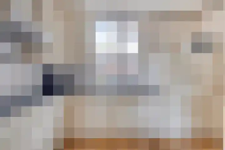 Tegenhouder 7 Sappemeer thumbnail 13