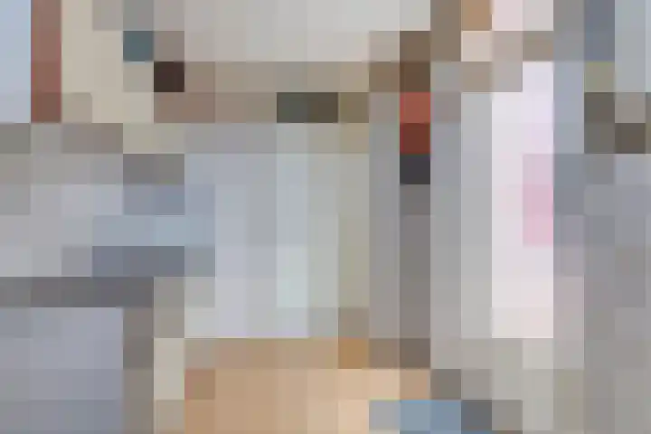 Tegenhouder 7 Sappemeer thumbnail 15