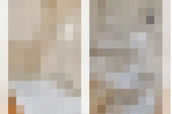 Tegenhouder 7 Sappemeer thumbnail 20