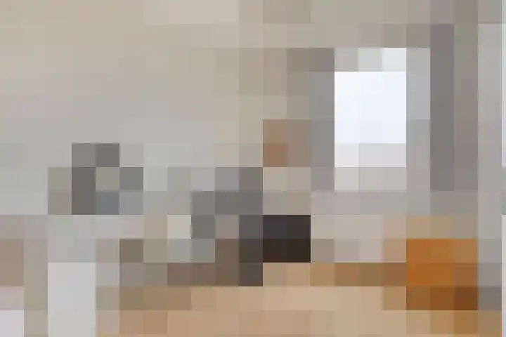 Tegenhouder 7 Sappemeer thumbnail 21