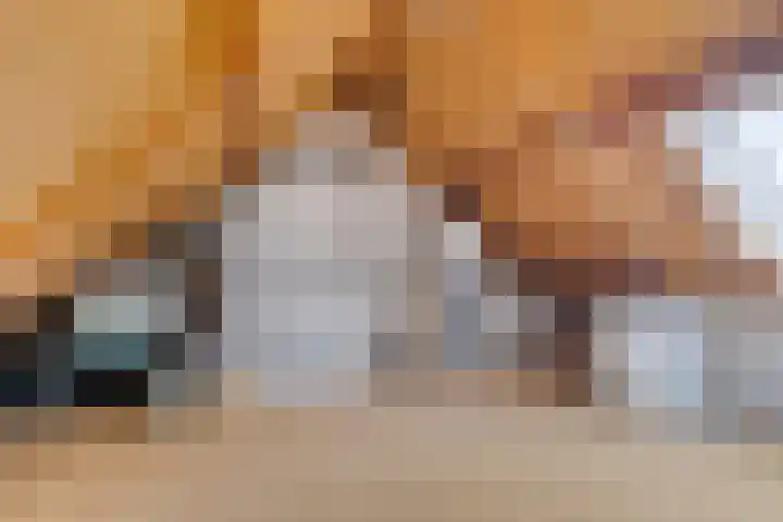 Tegenhouder 7 Sappemeer thumbnail 24