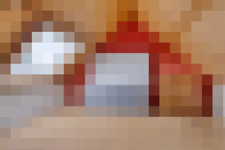 Tegenhouder 7 Sappemeer thumbnail 25