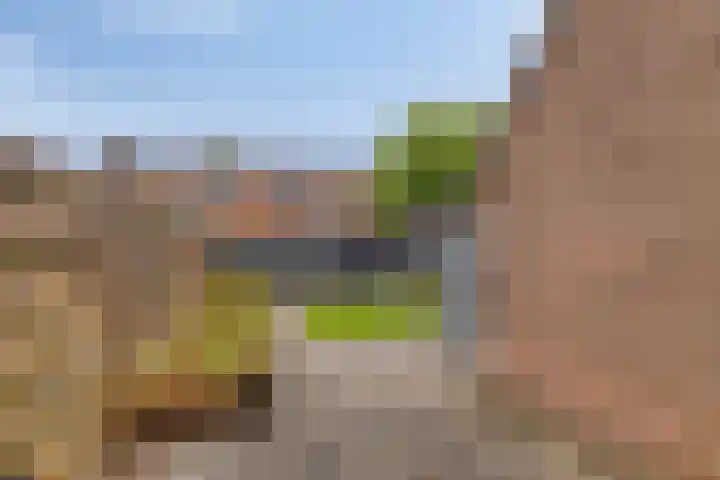 Tegenhouder 7 Sappemeer thumbnail 26