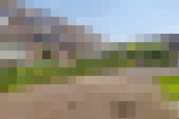 Tegenhouder 7 Sappemeer thumbnail 27