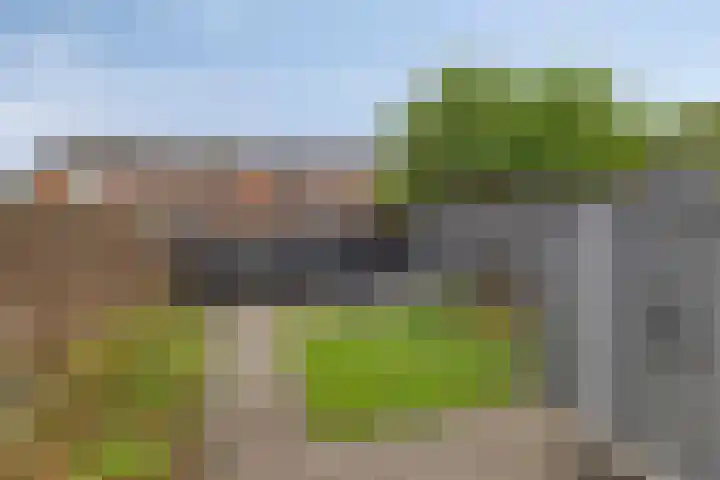 Tegenhouder 7 Sappemeer thumbnail 28