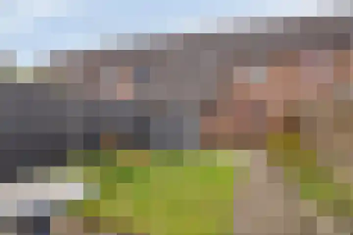 Tegenhouder 7 Sappemeer thumbnail 29
