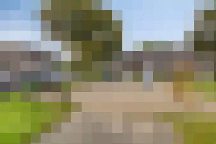 Tegenhouder 7 Sappemeer thumbnail 32