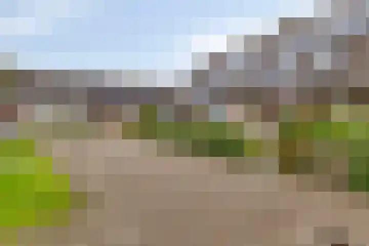 Tegenhouder 7 Sappemeer thumbnail 33