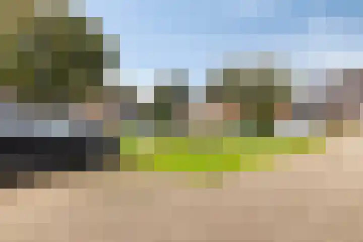 Tegenhouder 7 Sappemeer thumbnail 34