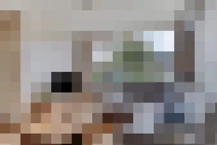 Tegenhouder 7 Sappemeer thumbnail 4