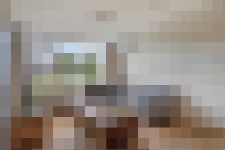 Tegenhouder 7 Sappemeer thumbnail 5