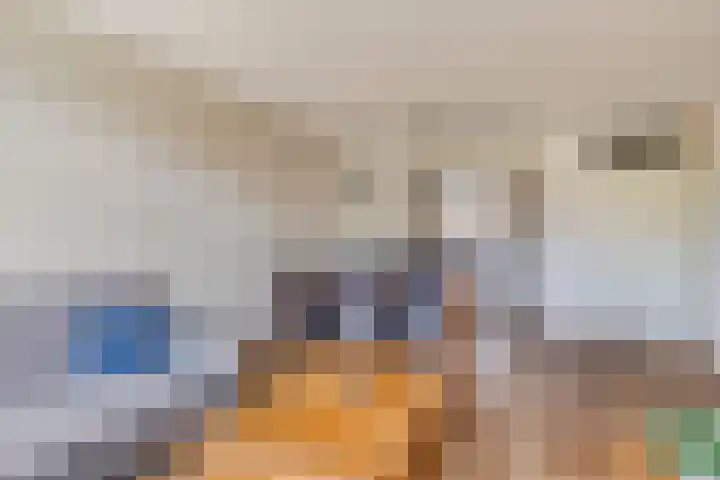 Tegenhouder 7 Sappemeer thumbnail 6